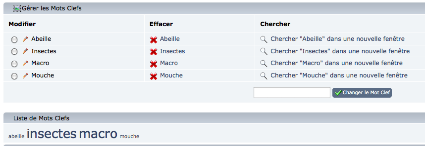 Keyword manager